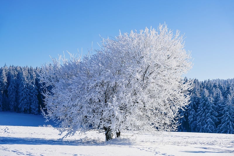 Lapland, Finland